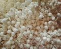 250 PCS Cotton Wicks for Oil Lamps & Diya – Puja and Festival Use