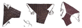 Set of 3 printed langota soft cotton browny,maroon and chocolaty for female Sports Yoga Lingerie Workout Traditional Koupean Banaras